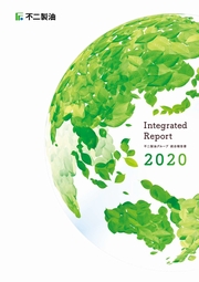 不二製油グループ　統合報告書 2020